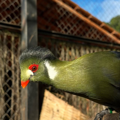 Bioparque (1)